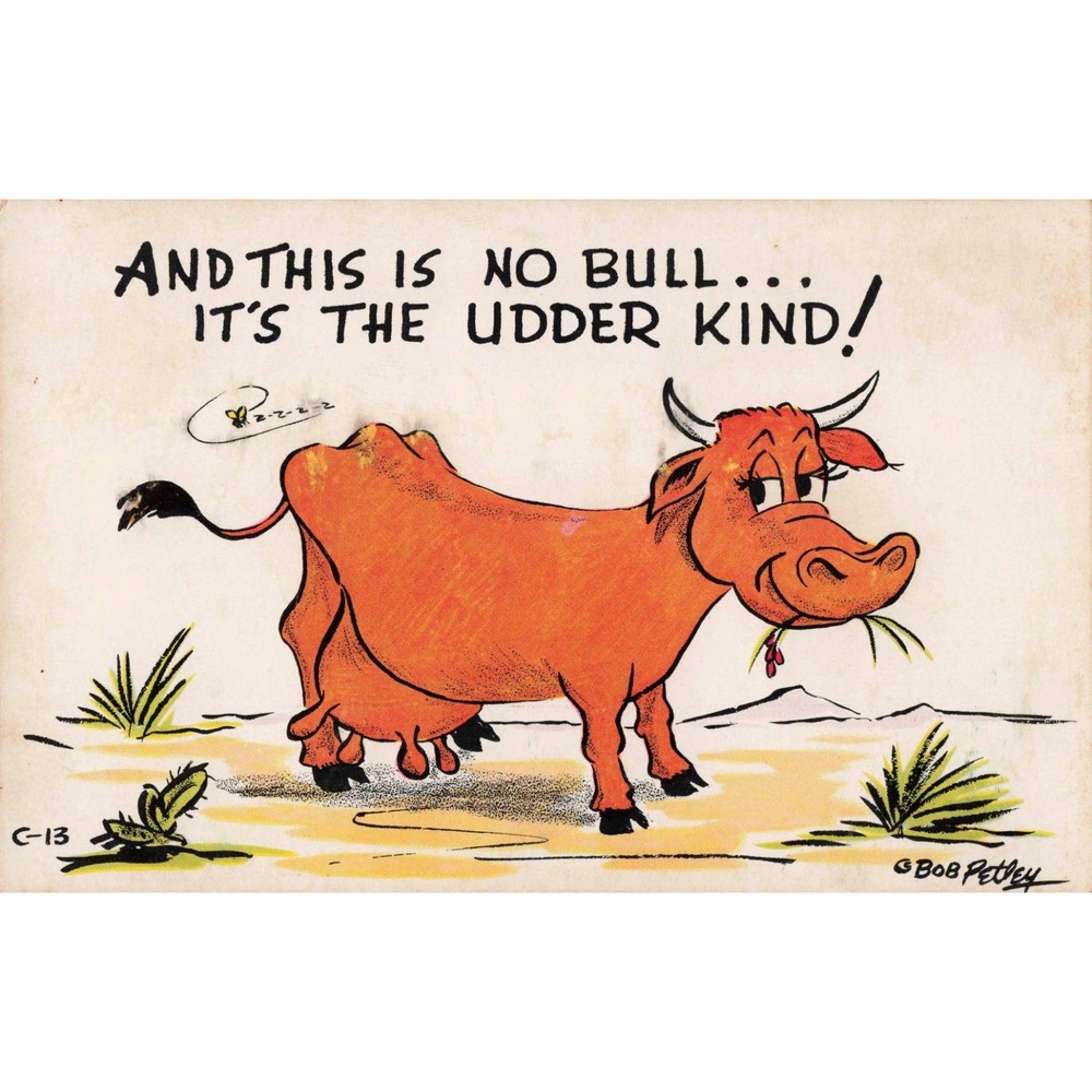 Vintage Bob Petley Laff Card C-13 No Bull Udder Kind Humor Postcard Cow Cartoon - Picture 1 of 2